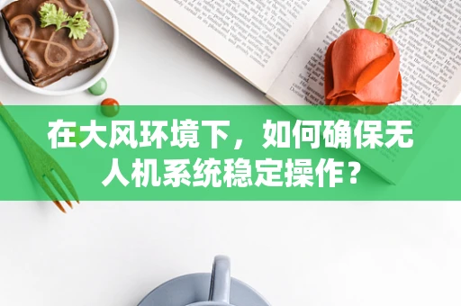 在大风环境下，如何确保无人机系统稳定操作？