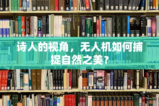 诗人的视角，无人机如何捕捉自然之美？