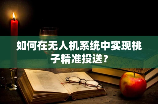 如何在无人机系统中实现桃子精准投送？