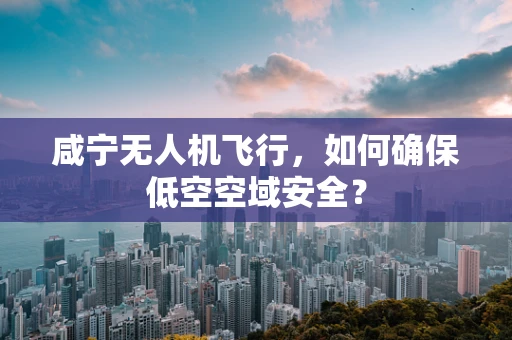 咸宁无人机飞行，如何确保低空空域安全？