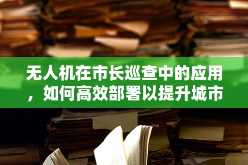 无人机在市长巡查中的应用，如何高效部署以提升城市管理效率？