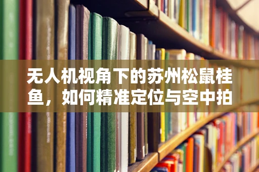 无人机视角下的苏州松鼠桂鱼，如何精准定位与空中拍摄？