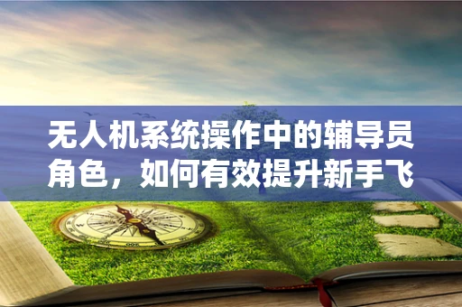 无人机系统操作中的辅导员角色，如何有效提升新手飞行员的安全意识与技能？