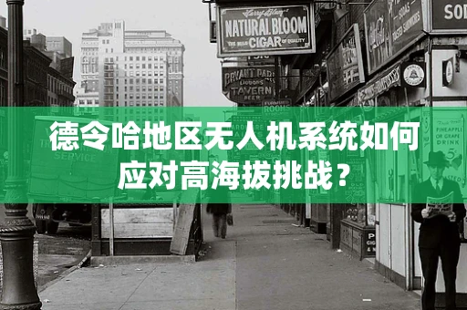 德令哈地区无人机系统如何应对高海拔挑战？