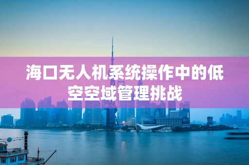 海口无人机系统操作中的低空空域管理挑战