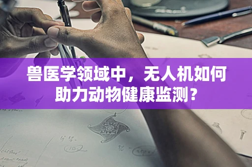 兽医学领域中，无人机如何助力动物健康监测？