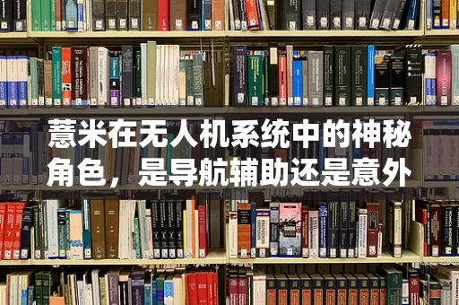 薏米在无人机系统中的神秘角色，是导航辅助还是意外之选？