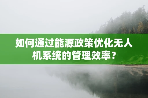 如何通过能源政策优化无人机系统的管理效率？