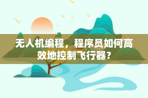 无人机编程，程序员如何高效地控制飞行器？