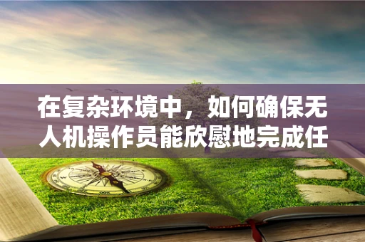 在复杂环境中，如何确保无人机操作员能欣慰地完成任务？