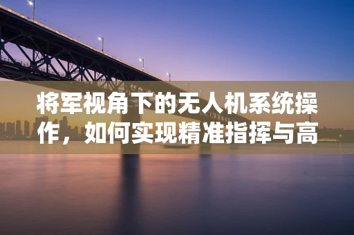 将军视角下的无人机系统操作，如何实现精准指挥与高效协同？