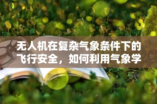 无人机在复杂气象条件下的飞行安全，如何利用气象学知识进行风险评估？