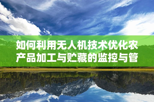 如何利用无人机技术优化农产品加工与贮藏的监控与管理？