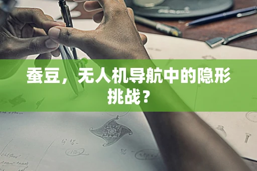 蚕豆，无人机导航中的隐形挑战？