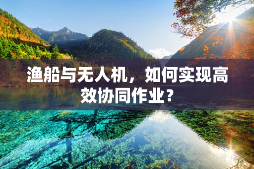 渔船与无人机，如何实现高效协同作业？