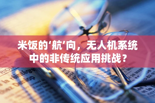 米饭的‘航’向，无人机系统中的非传统应用挑战？