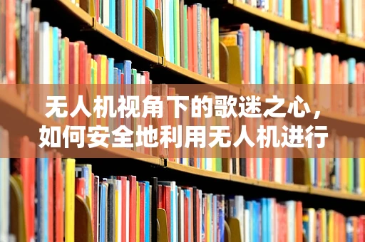 无人机视角下的歌迷之心，如何安全地利用无人机进行音乐节现场直播？