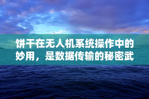 饼干在无人机系统操作中的妙用，是数据传输的秘密武器吗？