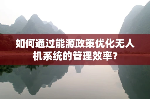 如何通过能源政策优化无人机系统的管理效率？