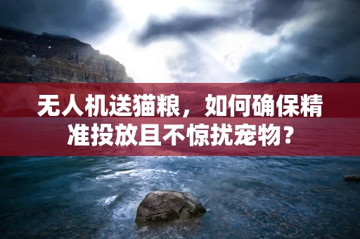 无人机送猫粮，如何确保精准投放且不惊扰宠物？