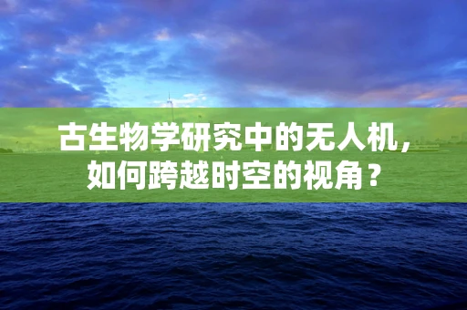 古生物学研究中的无人机，如何跨越时空的视角？