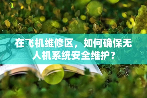 在飞机维修区，如何确保无人机系统安全维护？