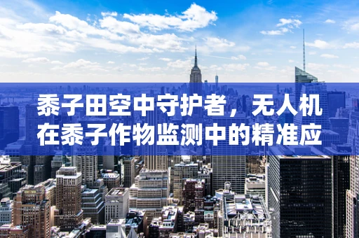 黍子田空中守护者，无人机在黍子作物监测中的精准应用挑战