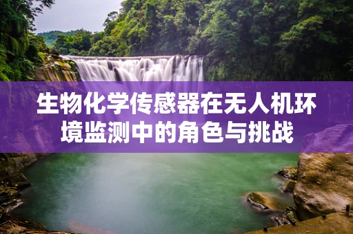 生物化学传感器在无人机环境监测中的角色与挑战