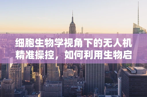 细胞生物学视角下的无人机精准操控，如何利用生物启发的算法优化飞行控制？