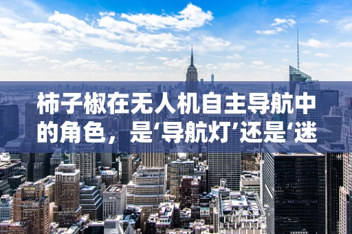 柿子椒在无人机自主导航中的角色，是‘导航灯’还是‘迷雾剂’？