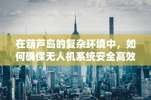 在葫芦岛的复杂环境中，如何确保无人机系统安全高效地执行任务？